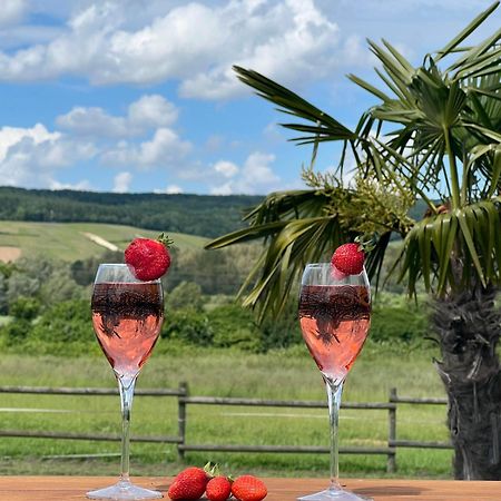 Domaine-De-La-Borde A Epernay Bed and Breakfast Mardeuil Εξωτερικό φωτογραφία