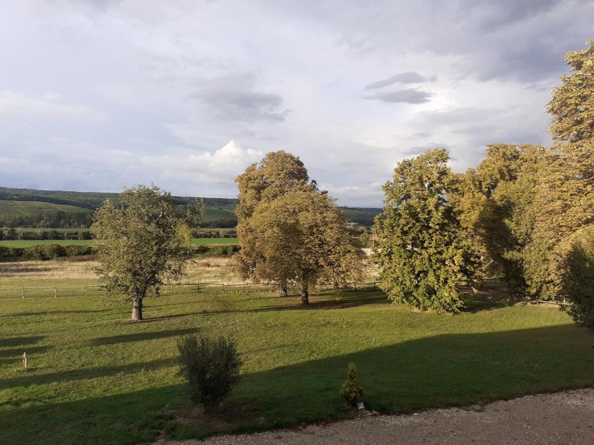 Domaine-De-La-Borde A Epernay Bed and Breakfast Mardeuil Εξωτερικό φωτογραφία