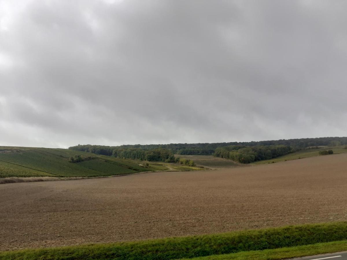 Domaine-De-La-Borde A Epernay Bed and Breakfast Mardeuil Εξωτερικό φωτογραφία
