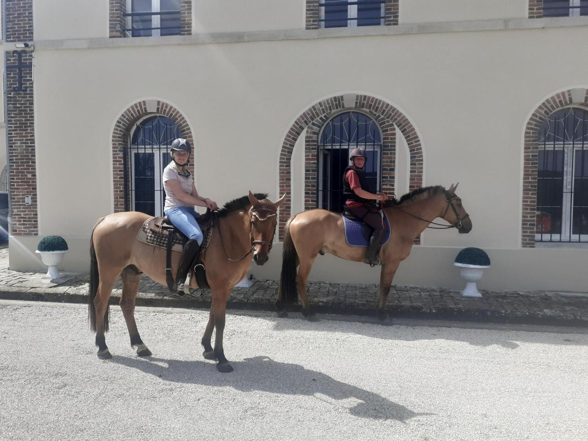 Domaine-De-La-Borde A Epernay Bed and Breakfast Mardeuil Εξωτερικό φωτογραφία