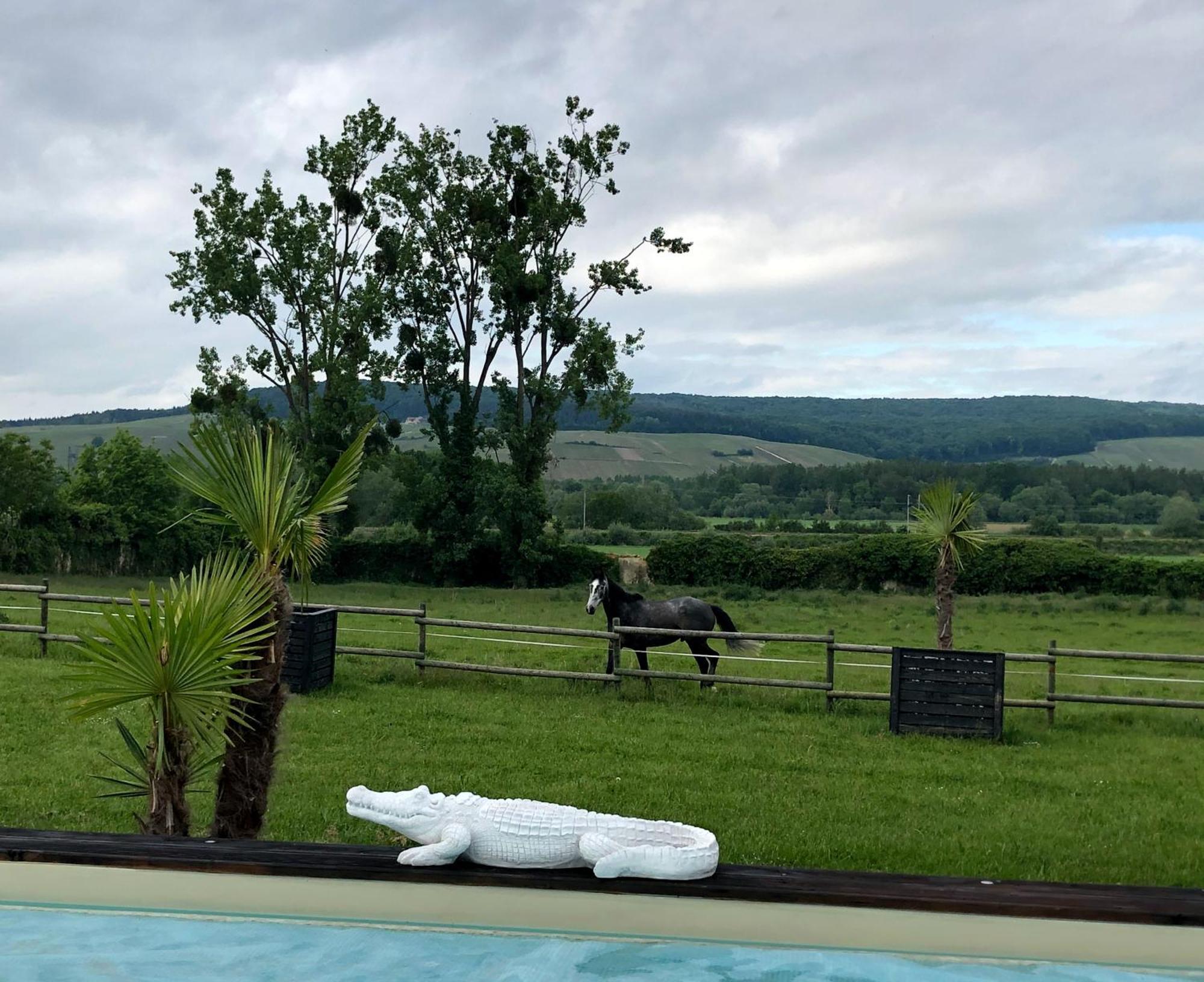 Domaine-De-La-Borde A Epernay Bed and Breakfast Mardeuil Εξωτερικό φωτογραφία