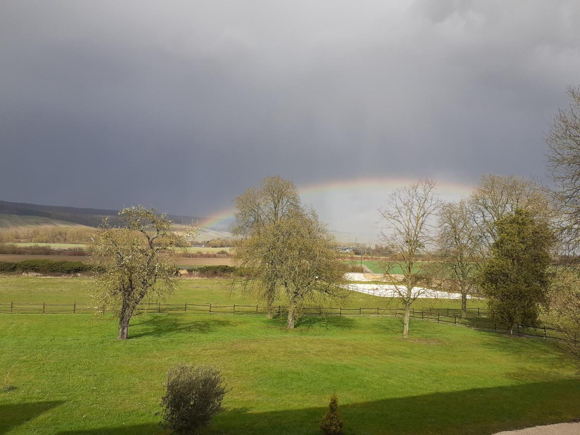 Domaine-De-La-Borde A Epernay Bed and Breakfast Mardeuil Εξωτερικό φωτογραφία